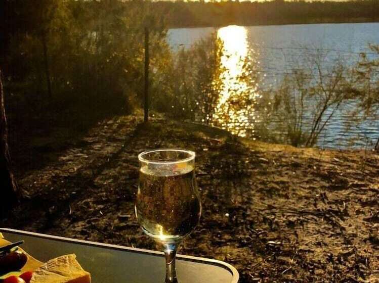 فندق The Colliefields