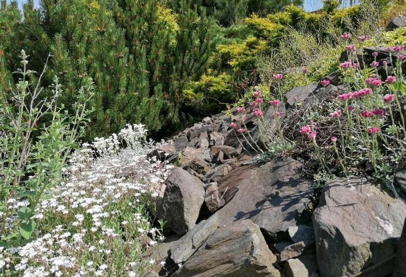 Otevřená Náruč Pension