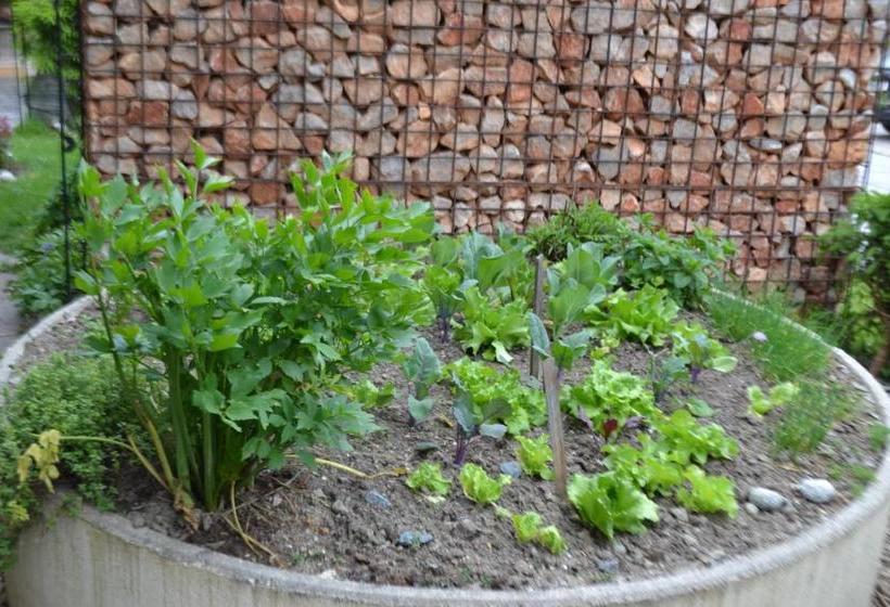 Pensjonat Gästehaus Reichholf