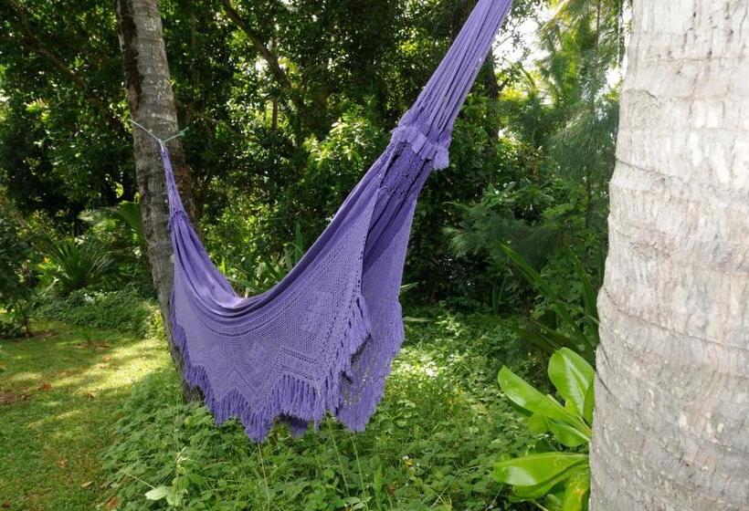 리조트 Sejala Beach Huts