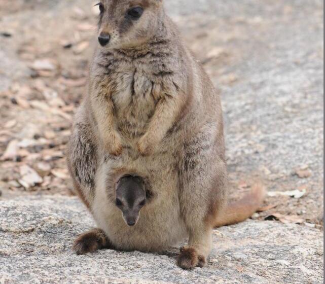 리조트 Sejala Beach Huts