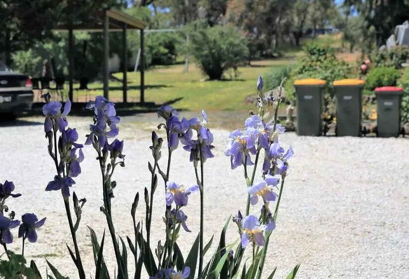 Wattle Grove Motel Maryborough