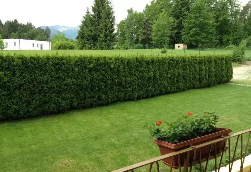 هاستل Gästehaus Renate