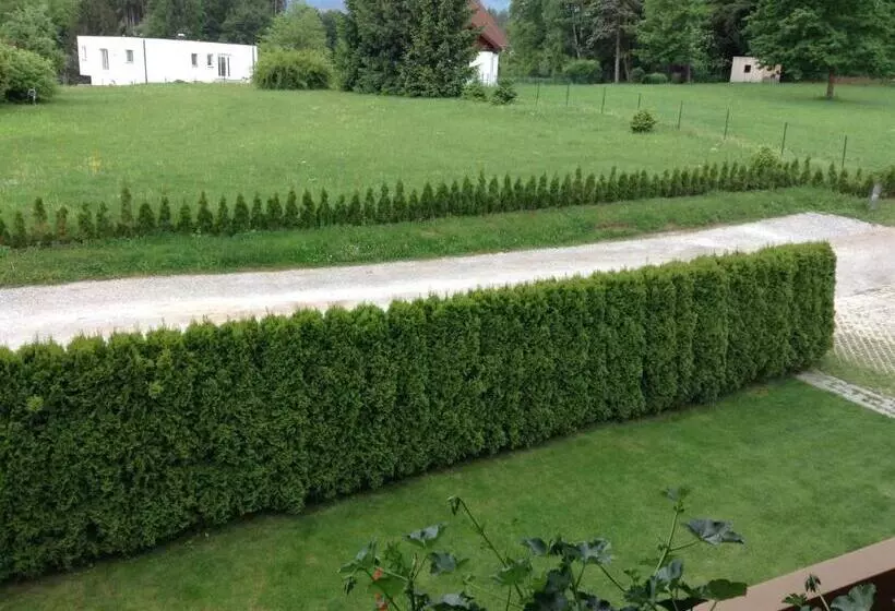 هاستل Gästehaus Renate
