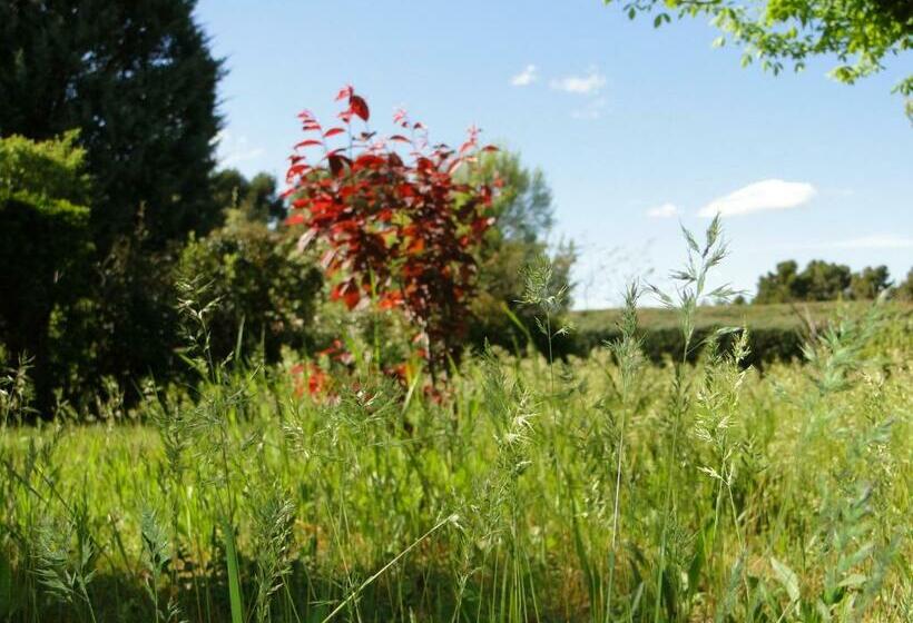 Bed & Breakfast Holzhaus