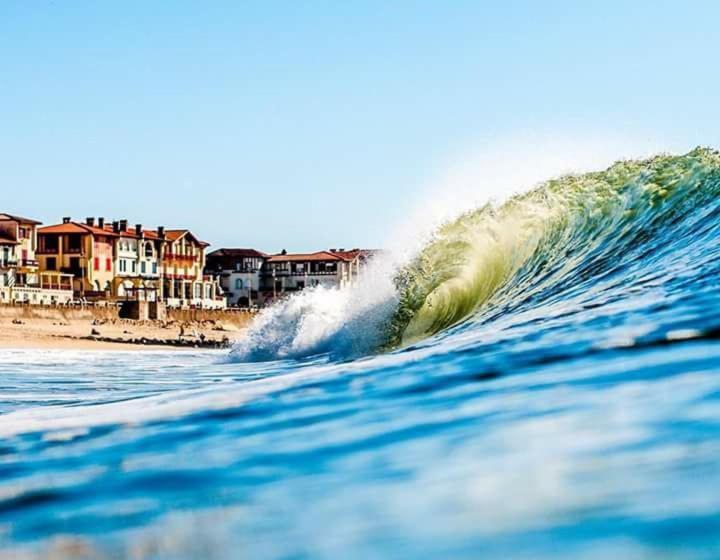 호텔 Hôtel De La Plage