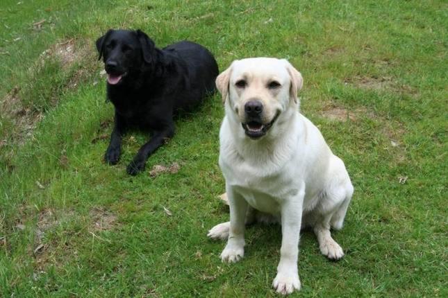 Отель Margaret River Hideaway & Farmstay