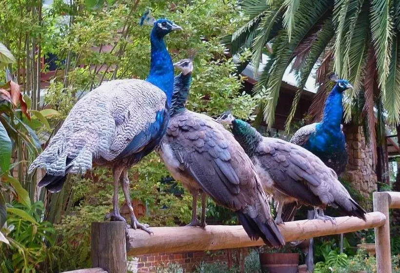 ホテル Margaret River Hideaway & Farmstay