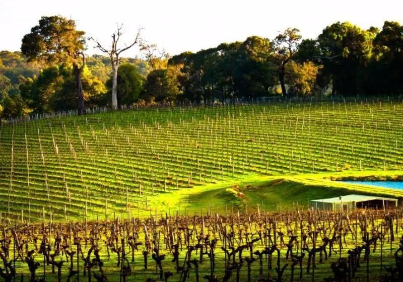 Hotelli Margaret River Hideaway & Farmstay