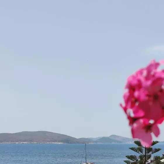 هتل Villa Margarit