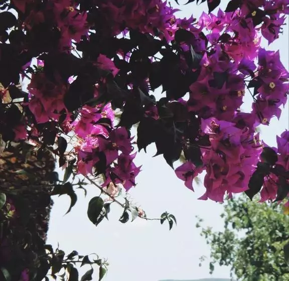 هتل Villa Margarit