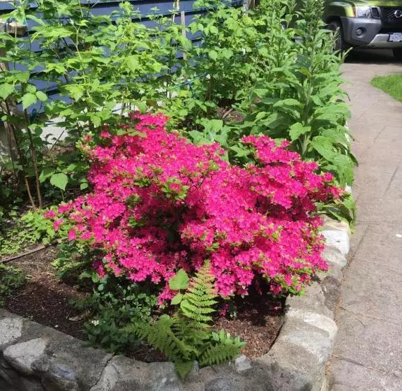 پانسیون Cobble Wood And Bird Sanctuary Guest Houses