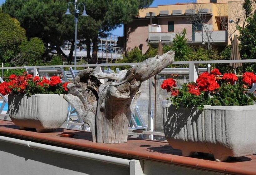 Pfa Hotel La Darsena Follonica
