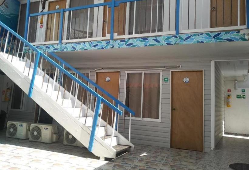 هاستل Posada San Nicolas