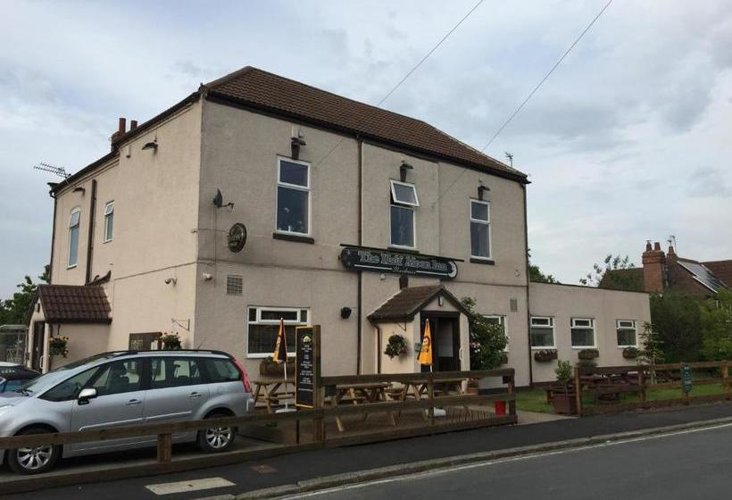 ユースホステル The Half Moon Inn