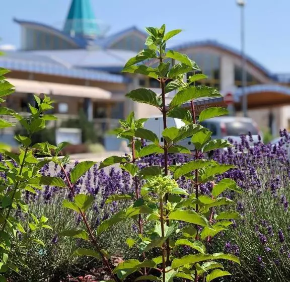 Harmónia Hotel Sárvár
