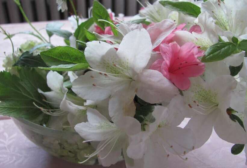 호텔 Albergo La Genzianella