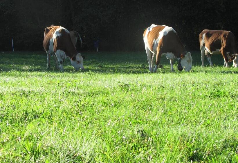 호텔 Albergo La Genzianella