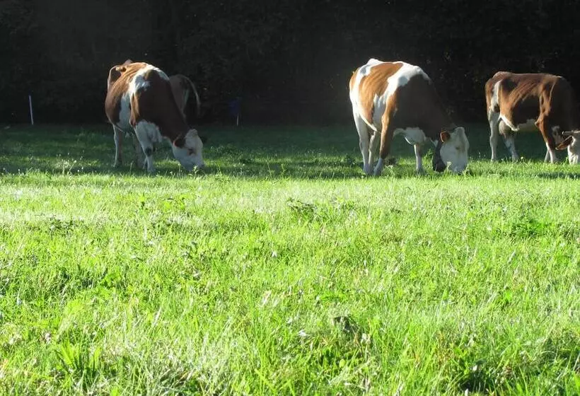 ホテル Albergo La Genzianella