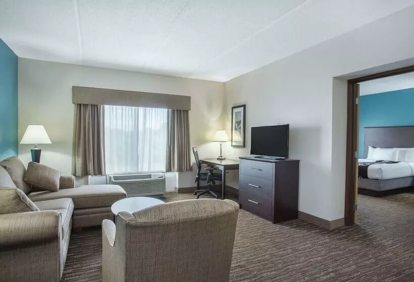 فندق Comfort Inn & Suites Sarasota I75