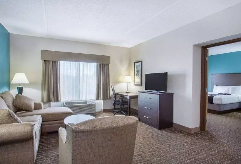 فندق Comfort Inn & Suites Sarasota I75