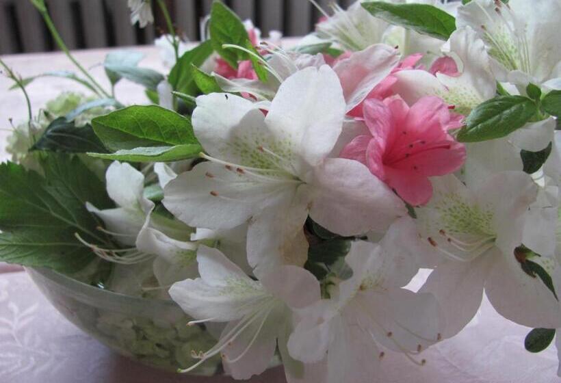 호텔 Albergo La Genzianella