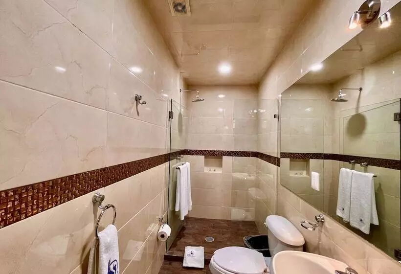 فندق Puebla Plaza