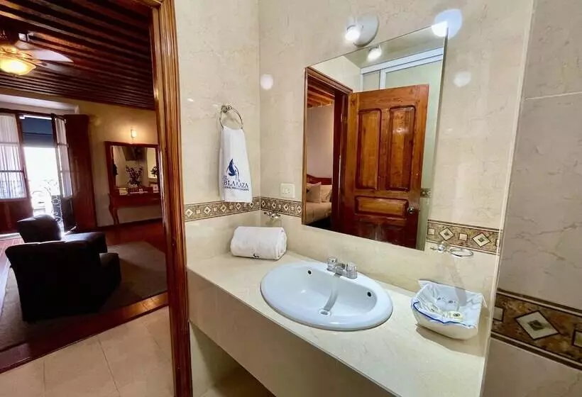 فندق Puebla Plaza