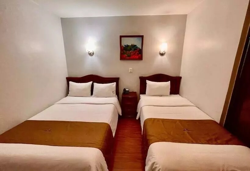 فندق Puebla Plaza