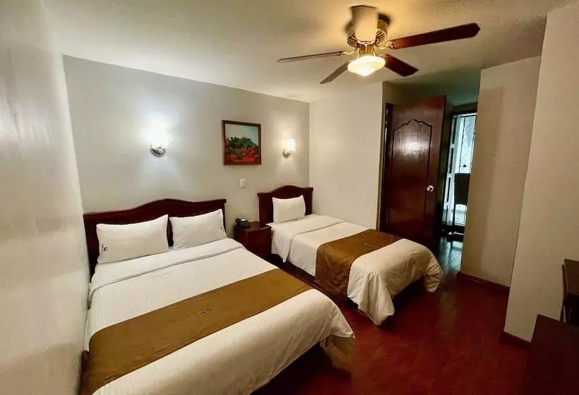 فندق Puebla Plaza