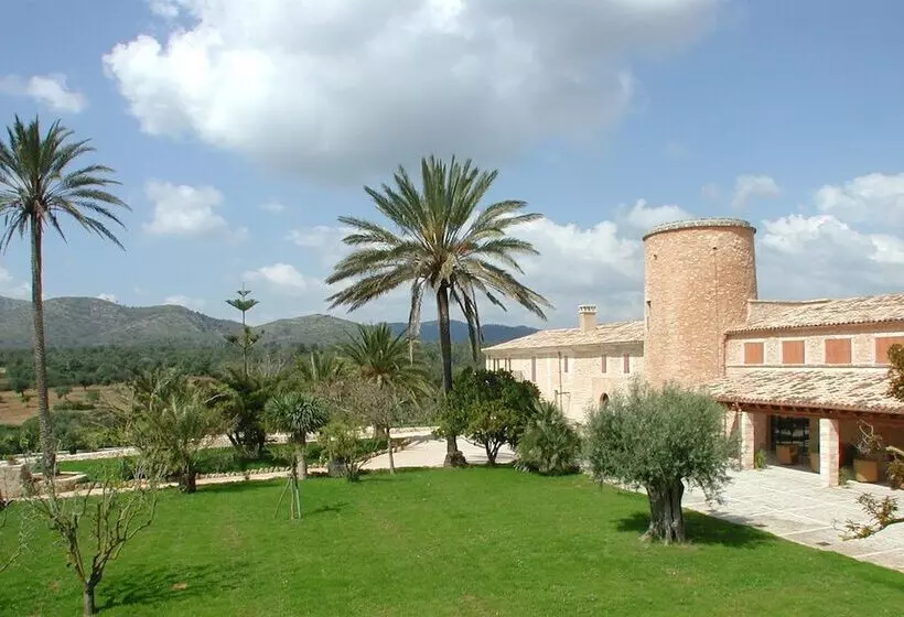 乡村酒店  Rural Son Mas  4