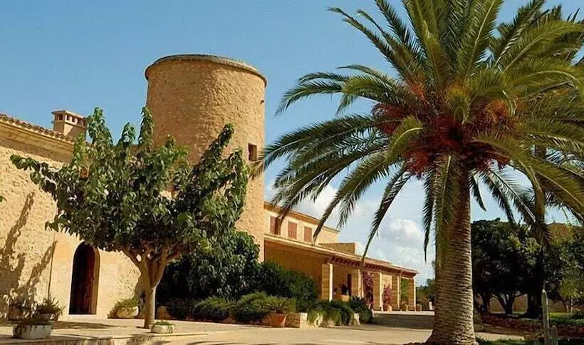 乡村酒店  Rural Son Mas  4