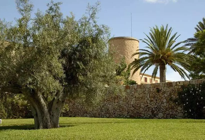 乡村酒店  Rural Son Mas  4