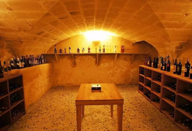 乡村酒店  Rural Son Mas  4