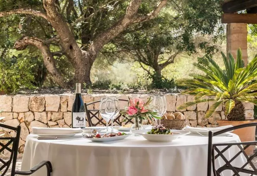 乡村酒店  Rural Son Mas  4