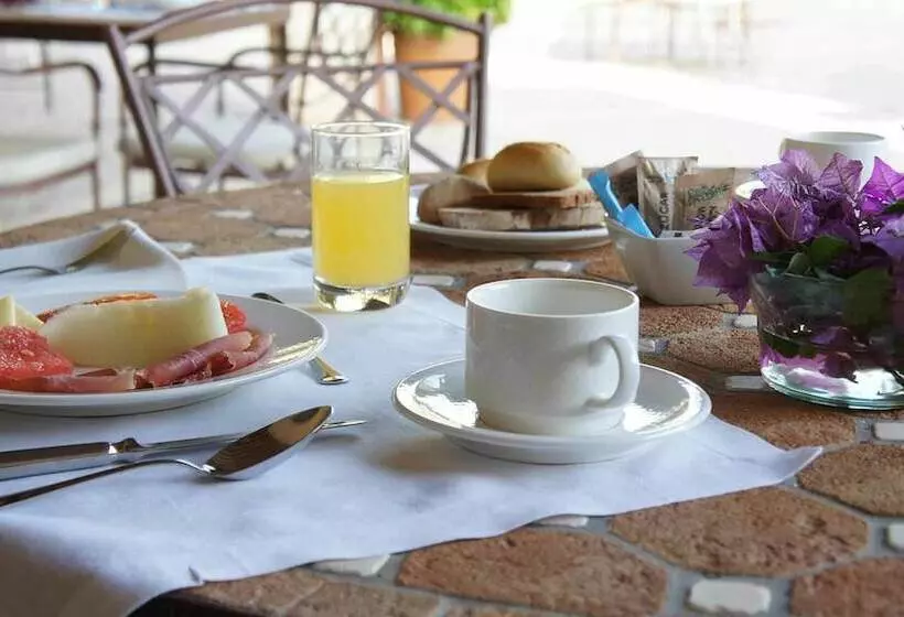 乡村酒店  Rural Son Mas  4