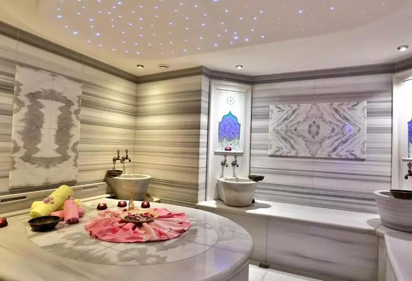 ホテル Zurich Istanbul Old City