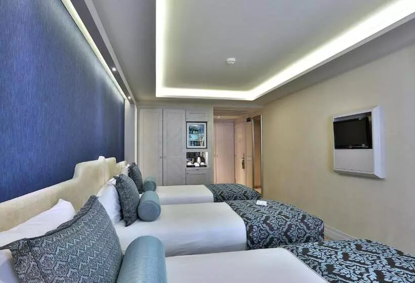 ホテル Zurich Istanbul Old City