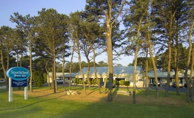 モーテル Southfleet Motor Inn