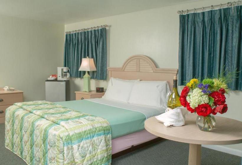 モーテル Southfleet Motor Inn