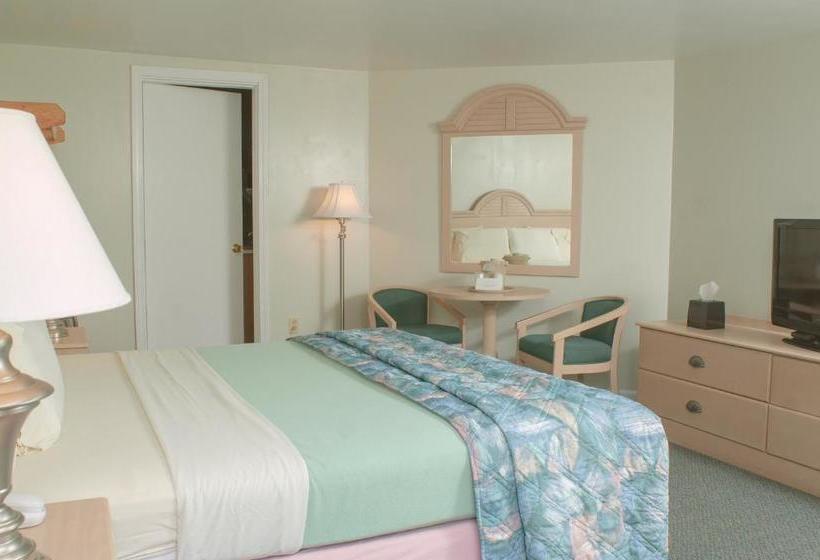 モーテル Southfleet Motor Inn