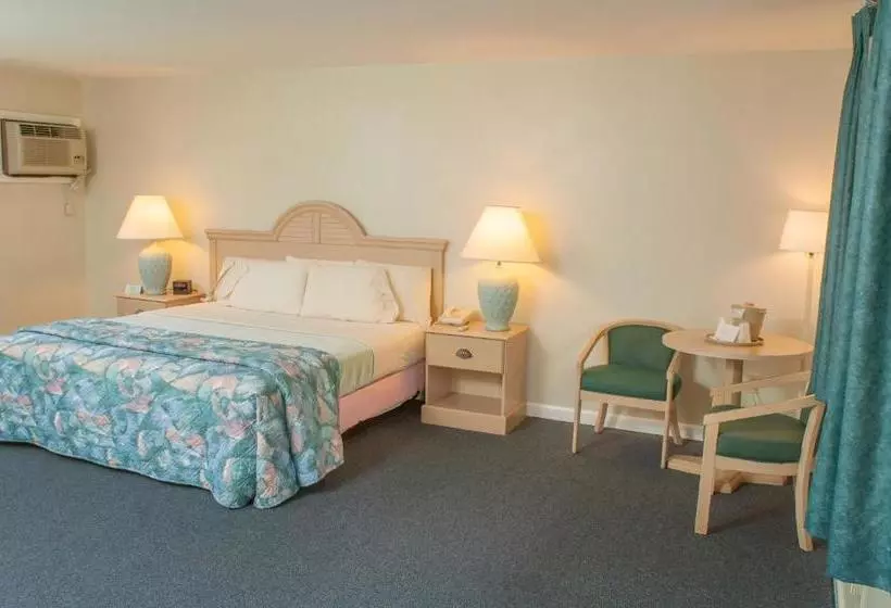 モーテル Southfleet Motor Inn