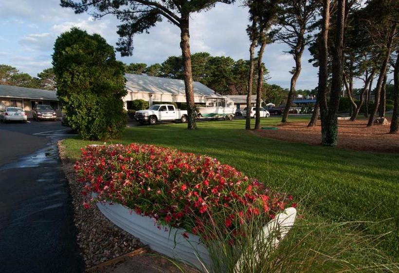 モーテル Southfleet Motor Inn