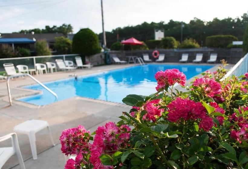 モーテル Southfleet Motor Inn