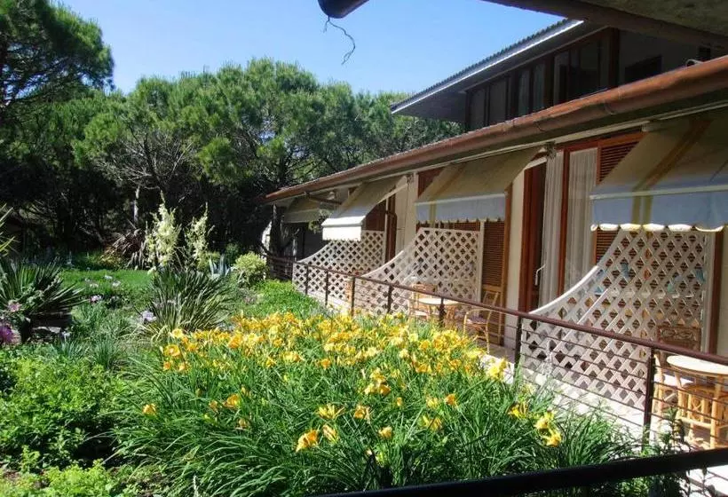 Park Hotel Pineta & Dependance Suite