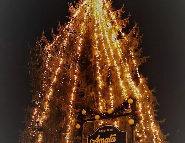 ホテル Amata Valgre Affittacamere, Comfort E Pulizia Eccezionali!!