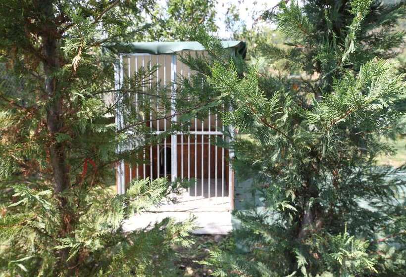 Отель Amata Valgre Affittacamere, Comfort E Pulizia Eccezionali!!