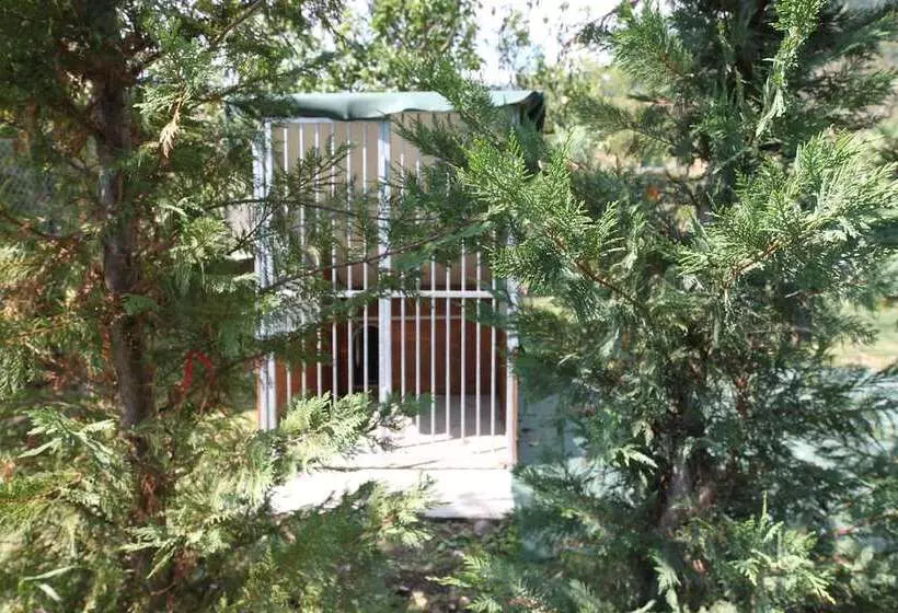 ホテル Amata Valgre Affittacamere, Comfort E Pulizia Eccezionali!!