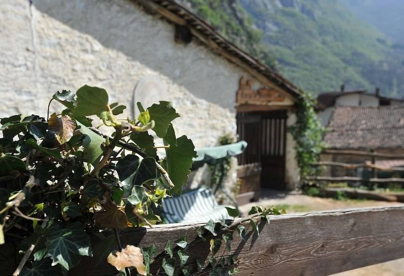 ホテル B&b Rocca Di Bajedo