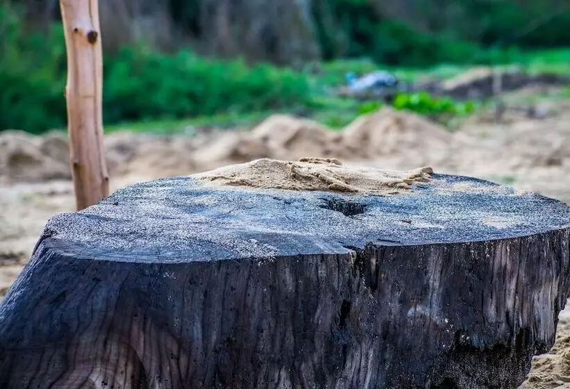 Hotelli Omeesha Beach